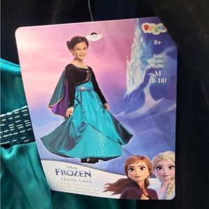 Disney princess costume ( Queen Anna Frozen)!